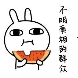 娱乐吃瓜酱经典语录,揭秘娱乐圈那些鲜为人知的幕后故事