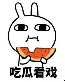 娱乐吃瓜君小团团,娱乐吃瓜界的“瓜王”传奇