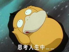 可达鸭娱乐吃瓜酱,揭秘娱乐圈幕后故事