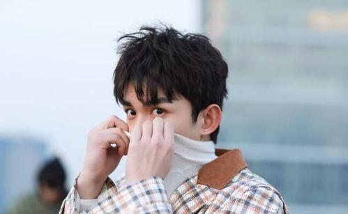 吃瓜娱乐圈吴磊是谁,娱乐圈的青春偶像，吃瓜群众心中的“小鲜肉”